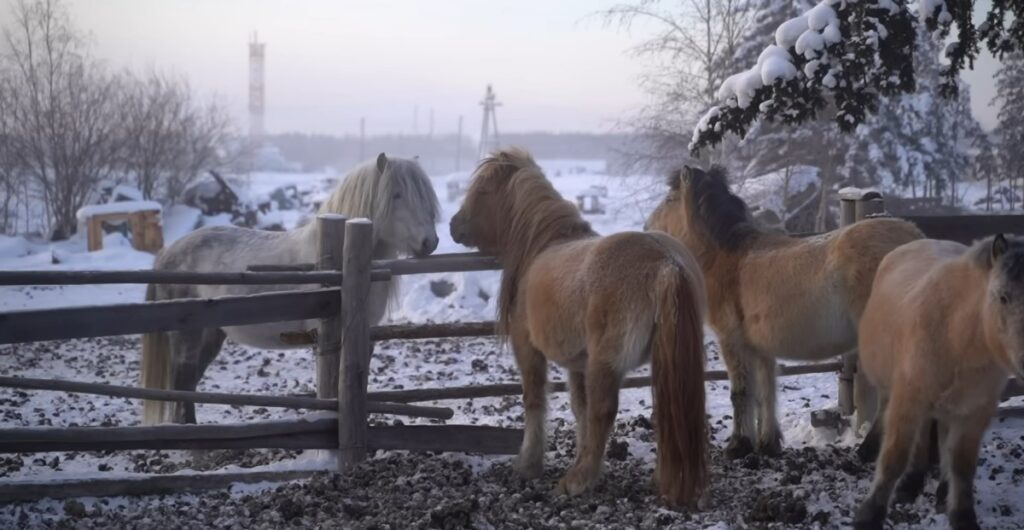 This mini documentary about the coldest town on Earth is stunning